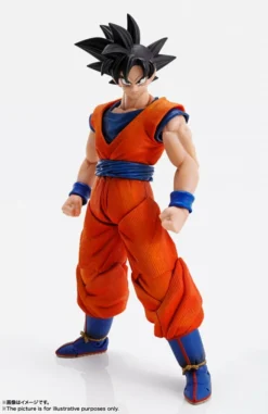 Tamashii Nations IMAGINATION WORKS Dragon Ball Z Son Goku